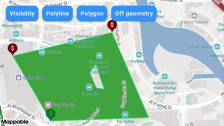 Map with styled polygon